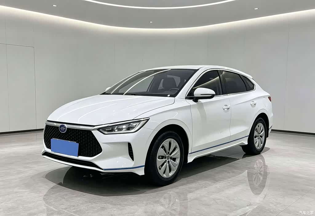 2019 BYD e2 Standard Range Yue·Standard Model, фото 2, лот 11188037