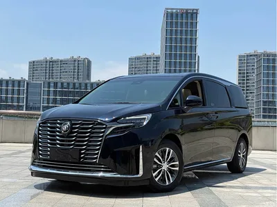 2023 Buick GL8 ES Landmaster Exclusive, фото 2, лот 10251671