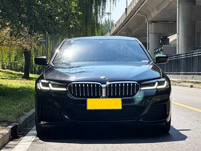 2022 BMW 5 Series 530Li xDrive M Sport Package, фото 2, лот 10481484