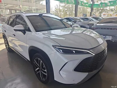2024 BYD Song L DM-i 112km Superior, фото 4, лот 10272639