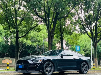 2017 Ford Mustang 2.3T Performance Edition, фото 1, лот 10298854