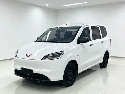 2024 Wuling Motors Wuling Hongguang New Energy Pure Electric 300KM Standard, фото 2, лот 11175478