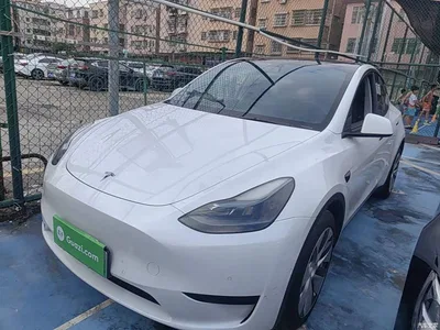 2022 Tesla Model Y Rear-Wheel Drive Version, фото 1, лот 10390631