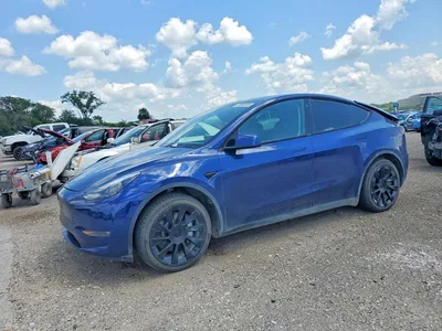 2023 TESLA MODEL Y, фото 1, лот 10851556