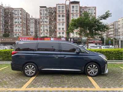 2018 GAC Trumpchi Trumpchi M8 320T Flagship Edition, фото 4, лот 10415901