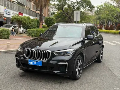 2023 BMW X5 xDrive 40Li M Sport Package, фото 1, лот 10463087