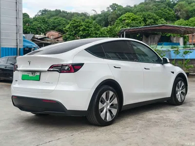 2022 Tesla Model Y Rear-Wheel Drive Version, фото 3, лот 10392344