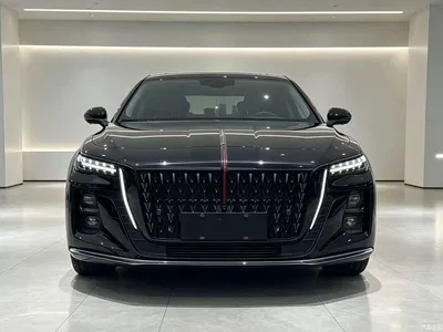 2025 Hongqi H5 1.5T DCT Mystic Shadow, фото 2, лот 10812926