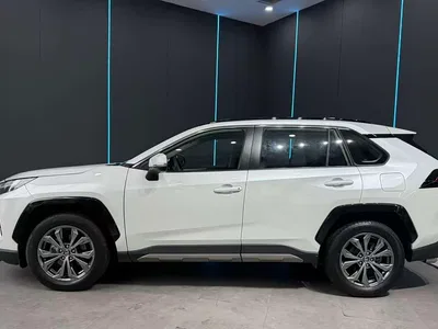 2024 Toyota RAV4 Rongfang 2.0L CVT FWD Style Plus Edition, фото 4, лот 11137407