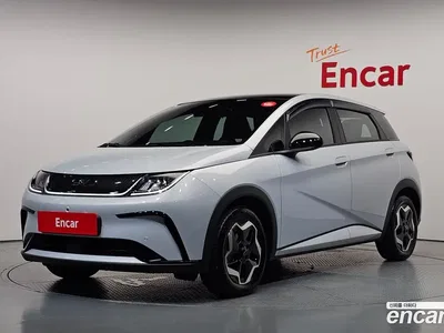 2026 BYD Dolphin Base, фото 1, лот 10174590