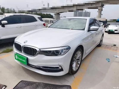 2019 BMW 5 Series 525Li Luxury Package, фото 2, лот 11133697