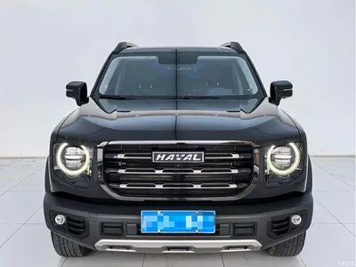 2021 Haval Big Dog 1.5T DCT 2WD Labrador Edition, фото 2, лот 10838246