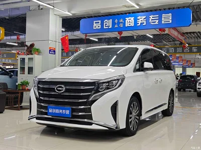 2021 GAC Trumpchi Trumpchi M8 Leading Show Series 390T Ultimate Edition, фото 1, лот 10415589