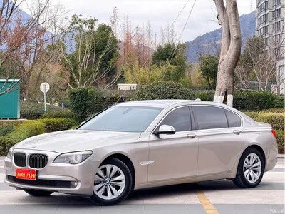 2011 BMW 7 Series 730Li Elegance, фото 1, лот 10458612