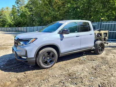 2026 HONDA RIDGELINE BLACK EDITION, фото 1, лот 11587693