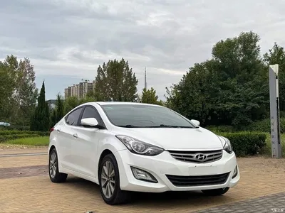 2015 Hyundai Langdong 1.6L Auto Premium, фото 3, лот 10886873