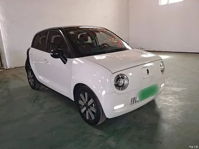 2021 Ora Black Cat 351km Standard Model, фото 4, лот 10481583