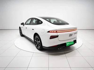 2021 XPeng P7 480N, фото 4, лот 10389750