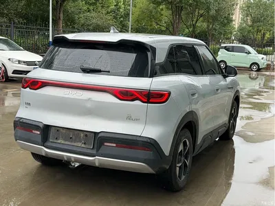 2024 BYD Yuan UP 301KM Leading Edition, фото 2, лот 10455608