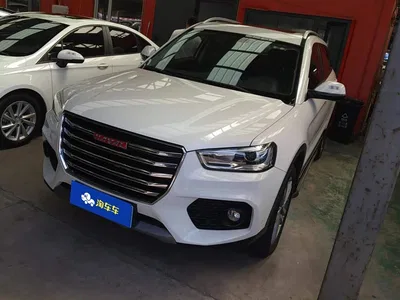 2017 Haval H6 Coupe Red Label 2.0T Automatic 2WD Elite, фото 1, лот 10448315