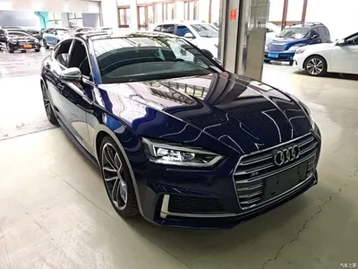 2017 Audi S5 3.0T Sportback, фото 4, лот 10469740