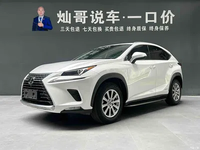 2020 Lexus NX 300h FWD F Sport China VI, фото 1, лот 11546156