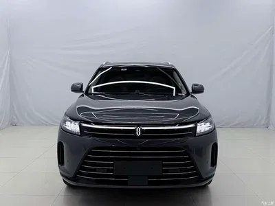 2022 AITO Wenjie AITO M7 1.5T RWD Comfort Edition, фото 2, лот 10277357