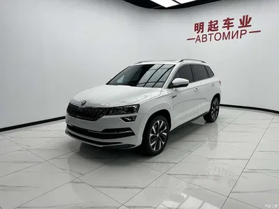 2023 Škoda Karoq TSI280 Luxury Edition, фото 4, лот 10349529
