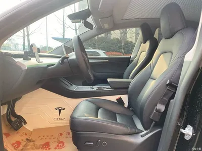 2023 Tesla Model Y Rear-Wheel Drive Edition, фото 4, лот 11203757