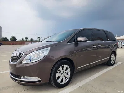 2014 Buick GL8 3.0L GT Luxury Business Elegance, фото 1, лот 10246082