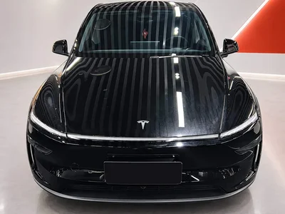 2025 Tesla Model Y Rear-Wheel Drive, фото 2, лот 10448600