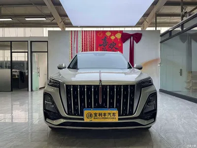 2023 Hongqi HS5 2.0T Flag Enjoy Pro Edition, фото 4, лот 11132089