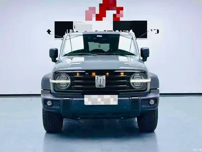 2021 Tank 300 Off-road Version 2.0T Conqueror, фото 1, лот 10357321
