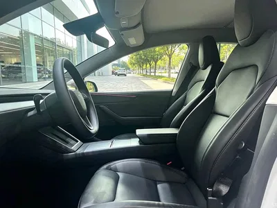 2025 Tesla Model Y Model Rear-Wheel Drive Launch Edition, фото 3, лот 10453538