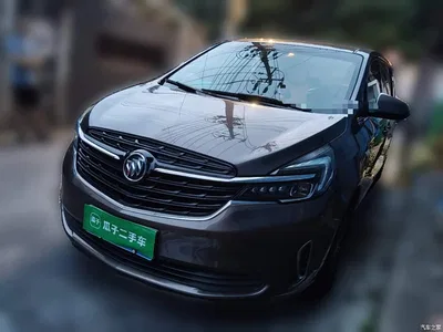 2020 Buick GL8 Model Land Business Class 652T Comfort, фото 1, лот 10262344