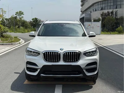 2021 BMW X3 xDrive25i Luxury Package, фото 2, лот 11066952