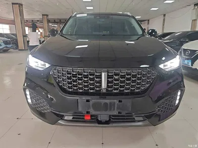 2020 WEY VV6 2.0T 2WD Smart Protection+, фото 3, лот 11188739