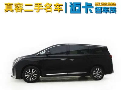 2023 GAC Trumpchi Trumpchi M8 Leading Series 390T Premium Edition, фото 4, лот 10417248