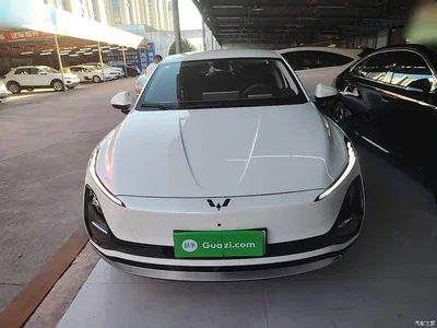 2025 Wuling Motors Wuling Xingguang 510km Smart Advanced, фото 3, лот 10832038