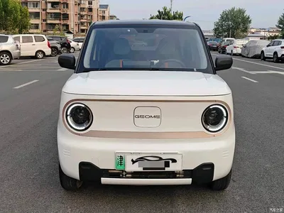 2023 Geely Galaxy Panda Mini 200km Endurance Bear, фото 2, лот 10837472
