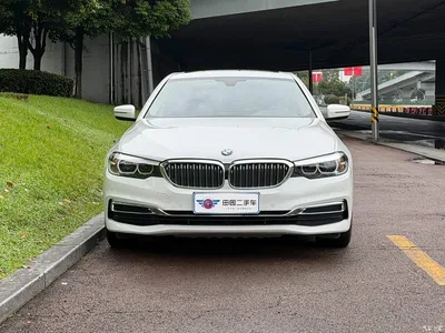 2020 BMW 5 Series 525Li Luxury Package, фото 2, лот 11178773