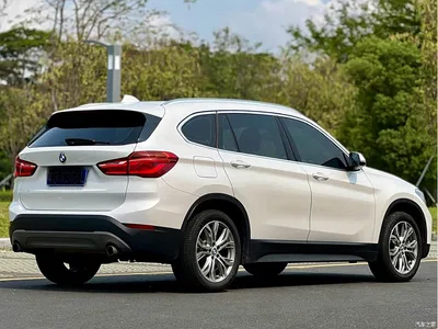 2019 BMW X1 sDrive20Li Leading Model, фото 3, лот 10465089