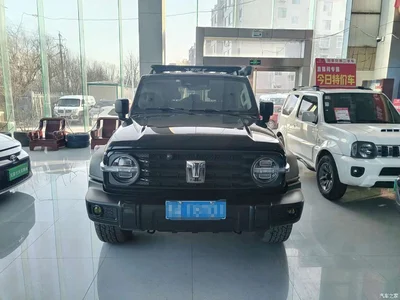 2021 Tank 300 Off-road Version 2.0T Conqueror, фото 3, лот 10345258