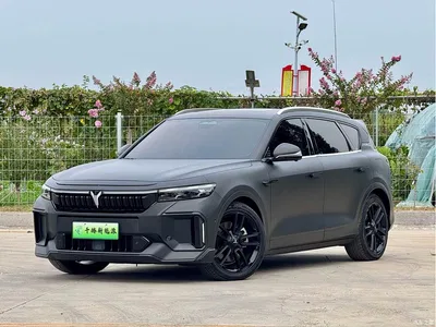 2024 Voyah Auto VOYAH FREE Ultra Long Range Intelligent Driving Edition, фото 1, лот 11132711