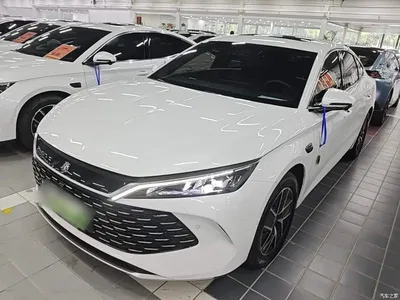 2025 BYD Qin L DM-i Smart Drive Edition 120KM Surpassing, фото 2, лот 10266010