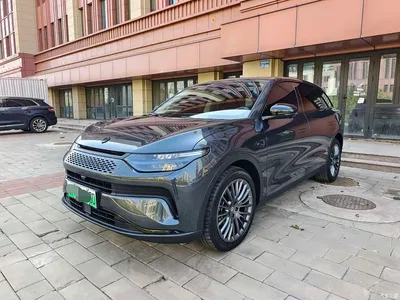 2023 Leapmotor C11 Extended Range 300 Comfort Edition, фото 1, лот 11012195