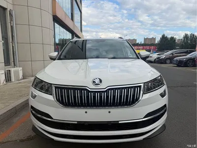 2022 Škoda Karoq TSI280 Premium Edition, фото 2, лот 10349375