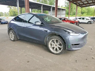 2023 TESLA MODEL Y, фото 4, лот 10854093