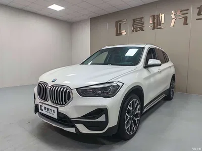 2020 BMW X1 xDrive25Li Premium Edition, фото 1, лот 10411294