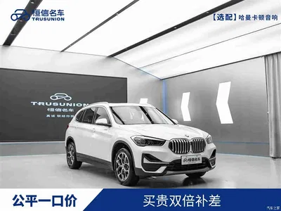 2021 BMW X1 sDrive25Li Leading, фото 1, лот 11221412